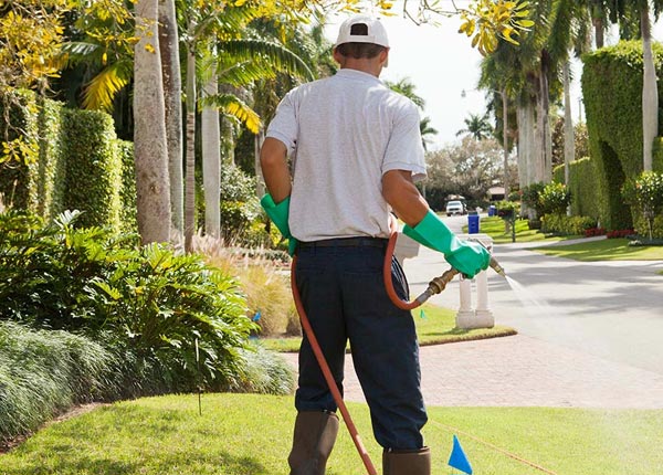 About Lakeside MI Pest Control